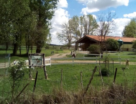 Área de autocaravanas en Almajano, Soria – Granja El Boyal
