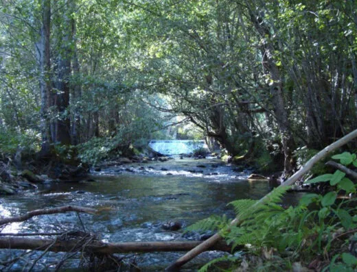 Área de autocaravanas en Trabadelo, León – Camping Valle do Seo