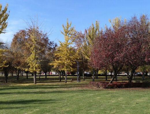 Área de autocaravanas La Granja en León capital