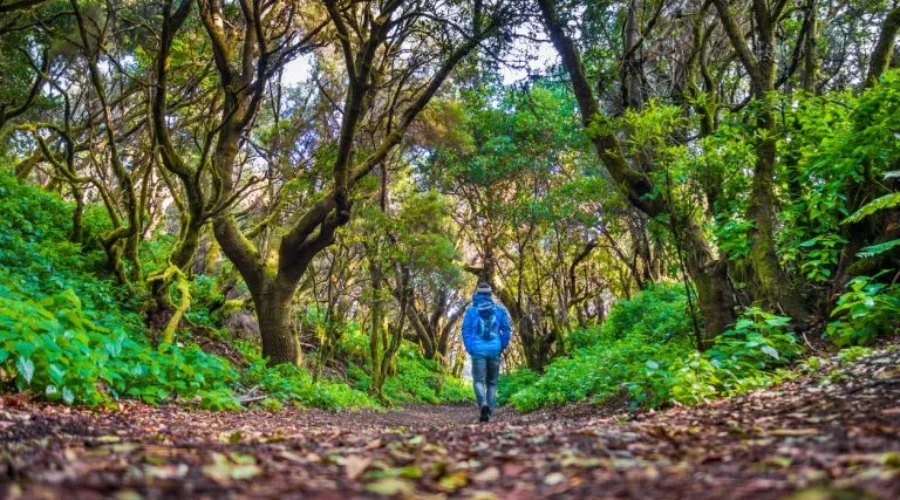 🌿 Viajar sin dejar huella: el turismo ecológico y sus beneficios